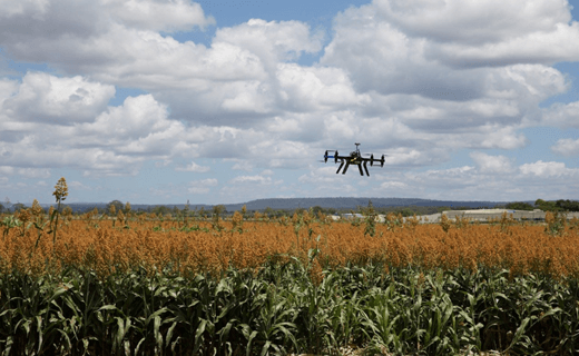 Why Utilize Data & Digital Agriculture